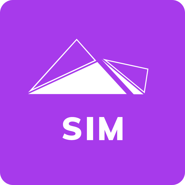 SIM - Icon