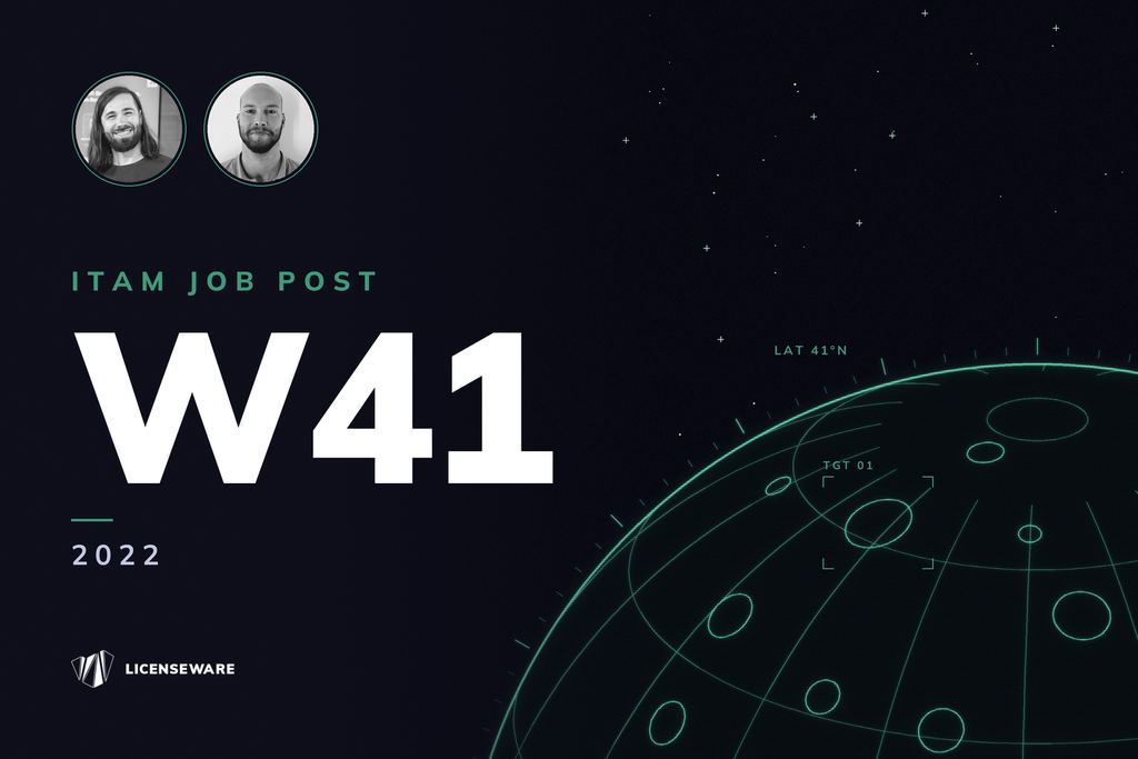 W41-22 SAM & ITAM Jobs