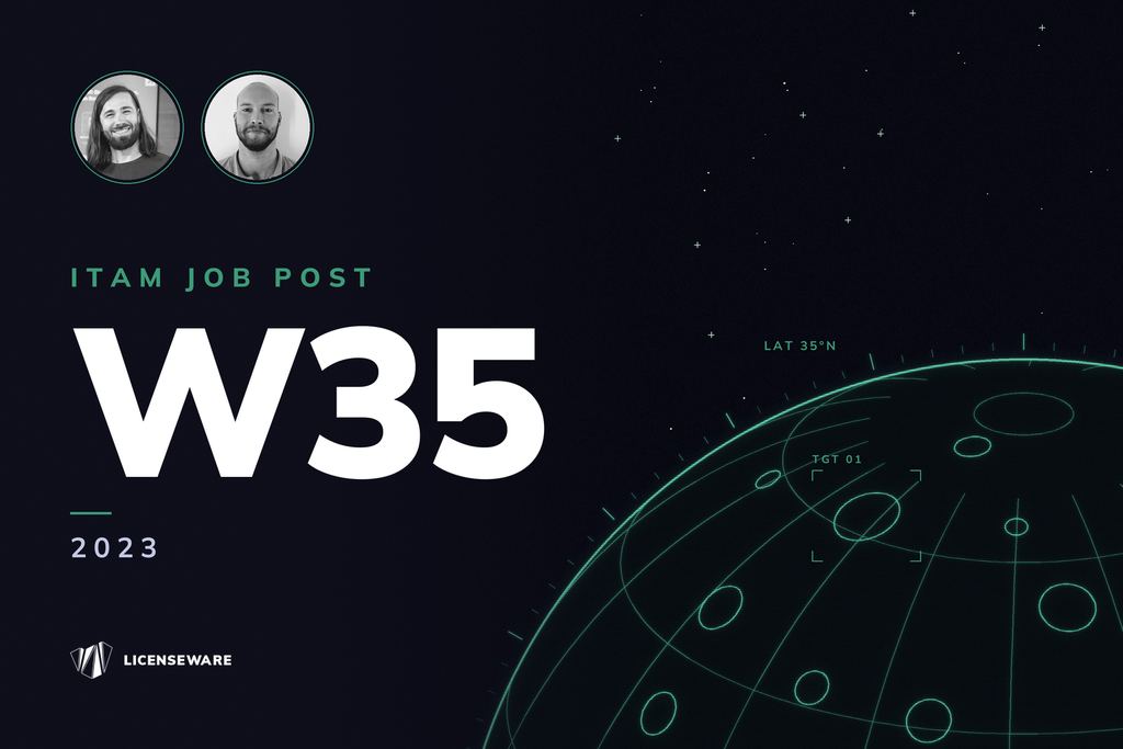 W35-23 SAM & ITAM Jobs