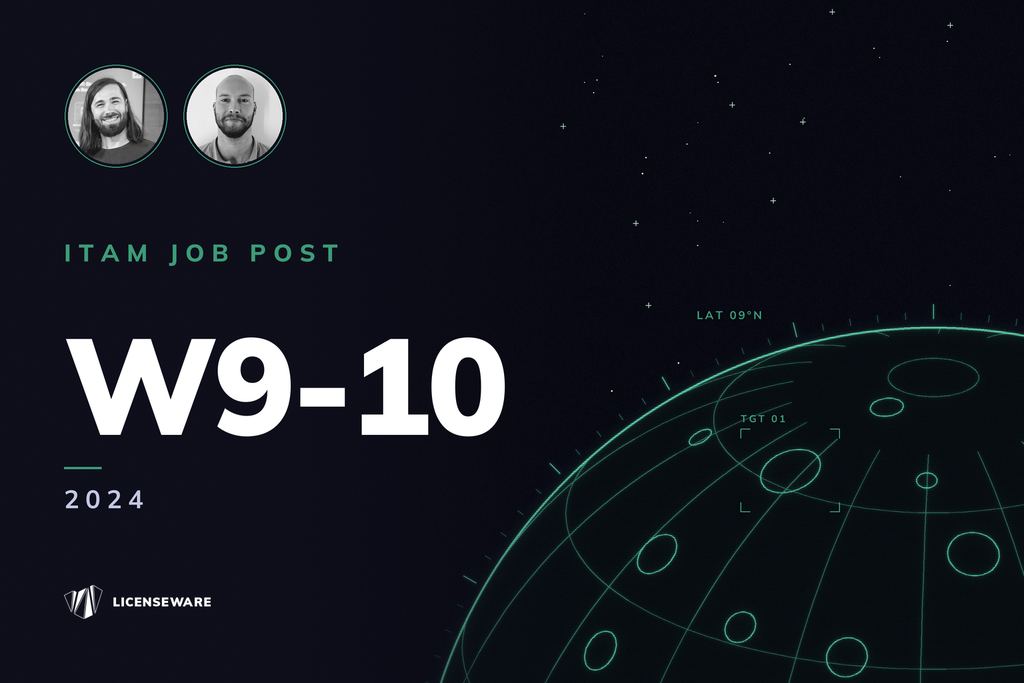 W09+10-24 SAM & ITAM Jobs
