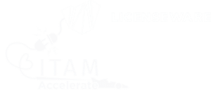 itam_accelerate_licenseware_white_logo